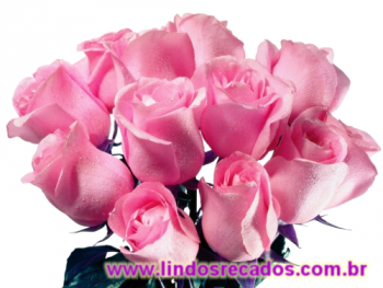 <b><center>Rosas cor de rosa</b></center>