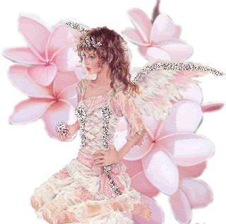 <b><center>Anjo</b></center>