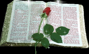<b><center>Bíblia livro dos livros.</b></center>