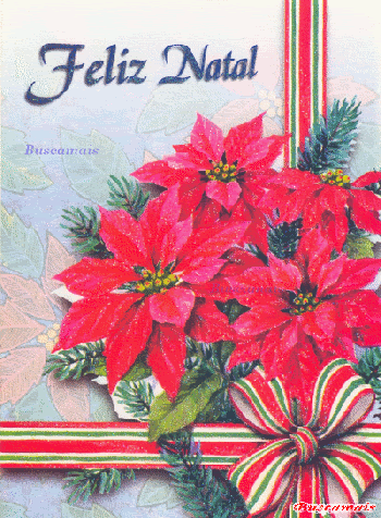 <b><center>Feliz Natal</b></center>