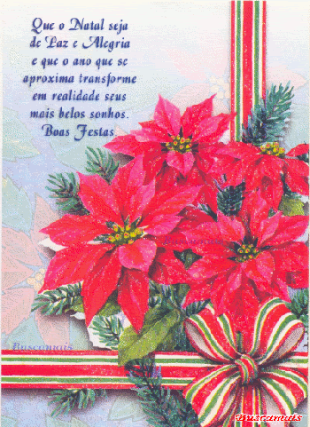<b><center>Feliz Natal</b></center>