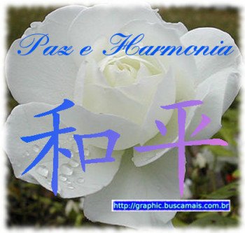 <b><center>Paz e Harmonia</b></center>