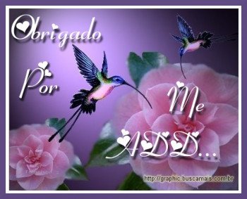 <b><center>Obrigado por me add</b></center>
