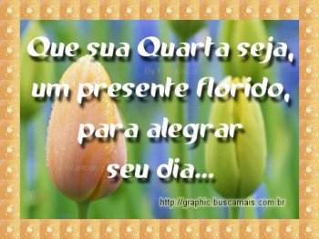 <b><center>Quarta-feira</b></center>