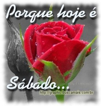 <b><center>Sábado</b></center>