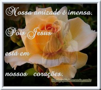 <b><center>Amizade</b></center>