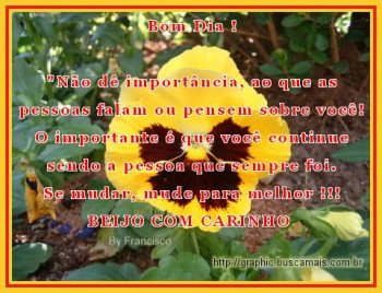 <b><center>Bom dia</b></center>
