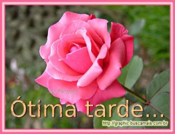 <b><center>Boa Tarde</b></center>
