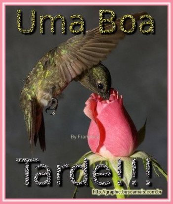 <b><center>Boa Tarde</b></center>