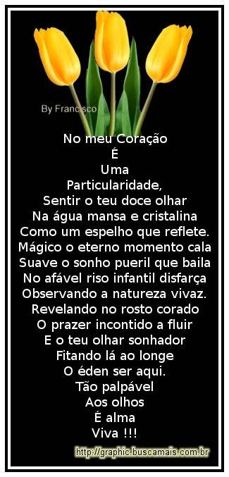 <b><center>Amizade</b></center>
