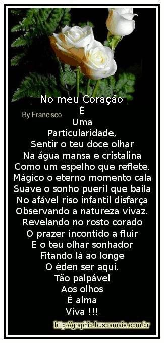 <b><center>Amizade</b></center>