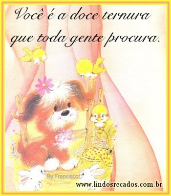 <b><center>Amizade</b></center>
