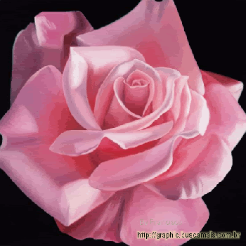 <b><center>Namorados</b></center>